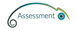 Assessment